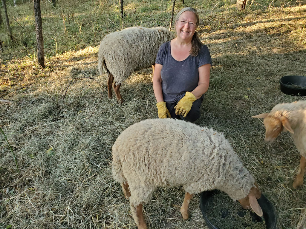Heidi Hoff with some of her Tunis-Gotland cross sheep