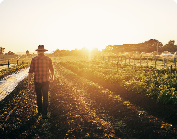 A person walking through a field.