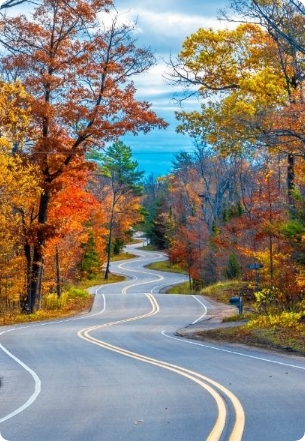 Winding road with fall colors.