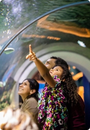 A young girl points up at an aquarium.