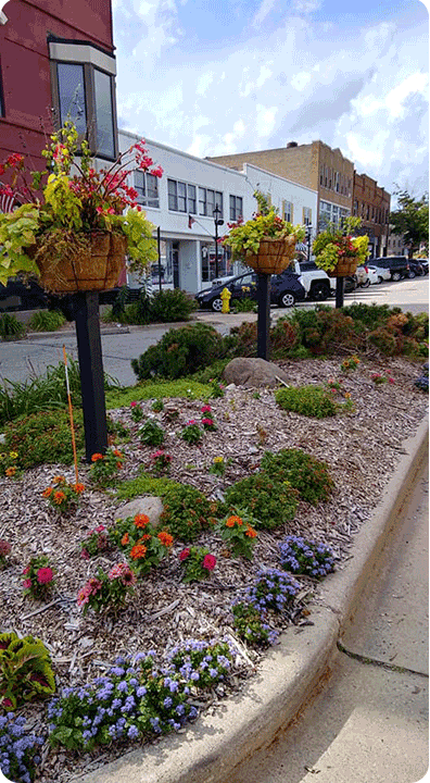 Landscaping the boulevard on main street