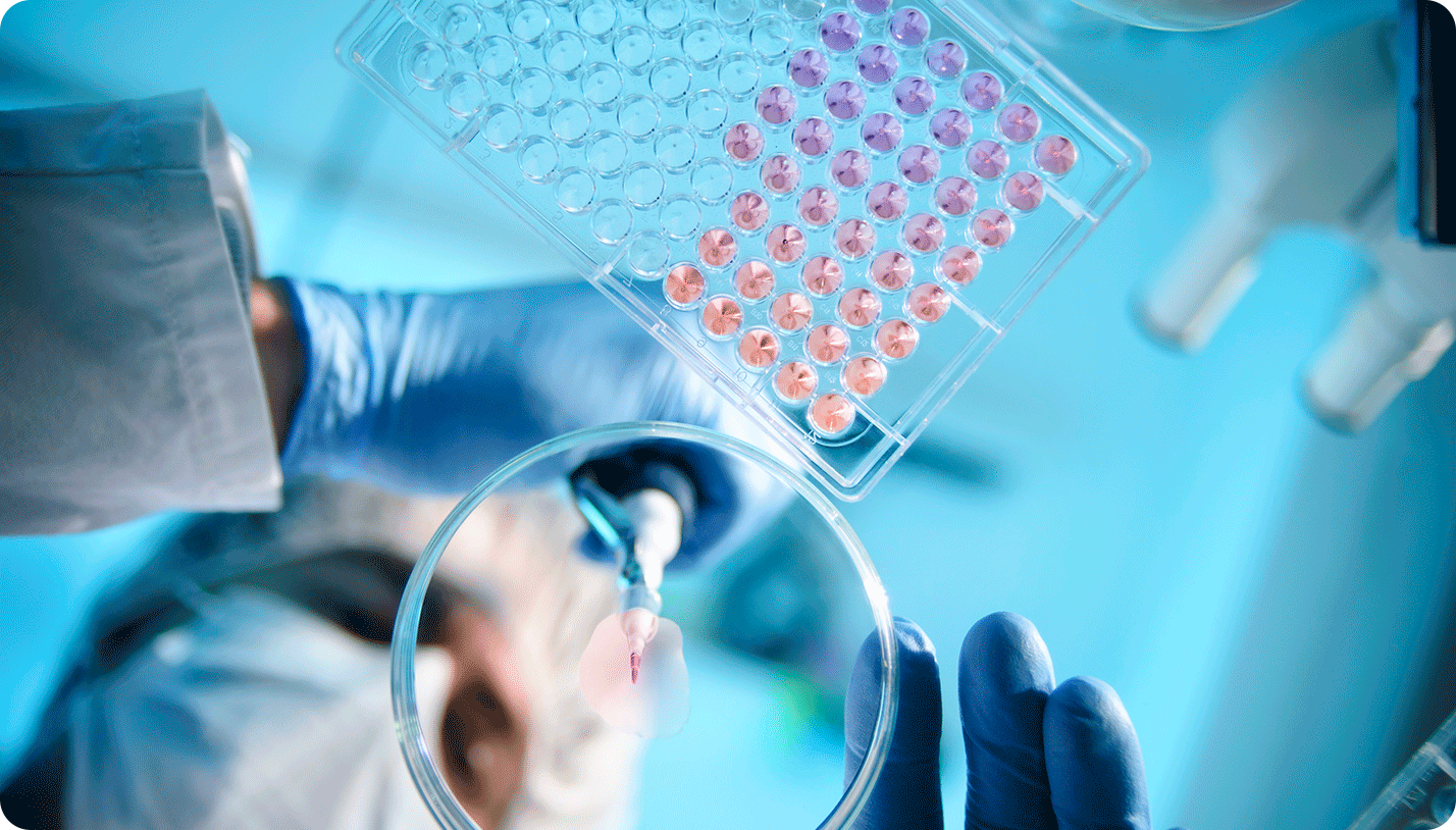 A scientist working with a petri dish