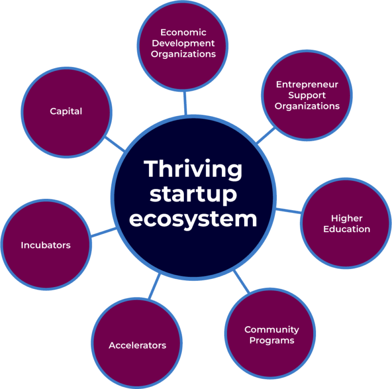 A chart describing a thriving startup ecosystem.