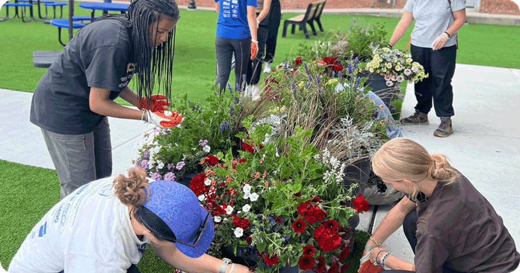 Volunteers planting flowers in large pots.