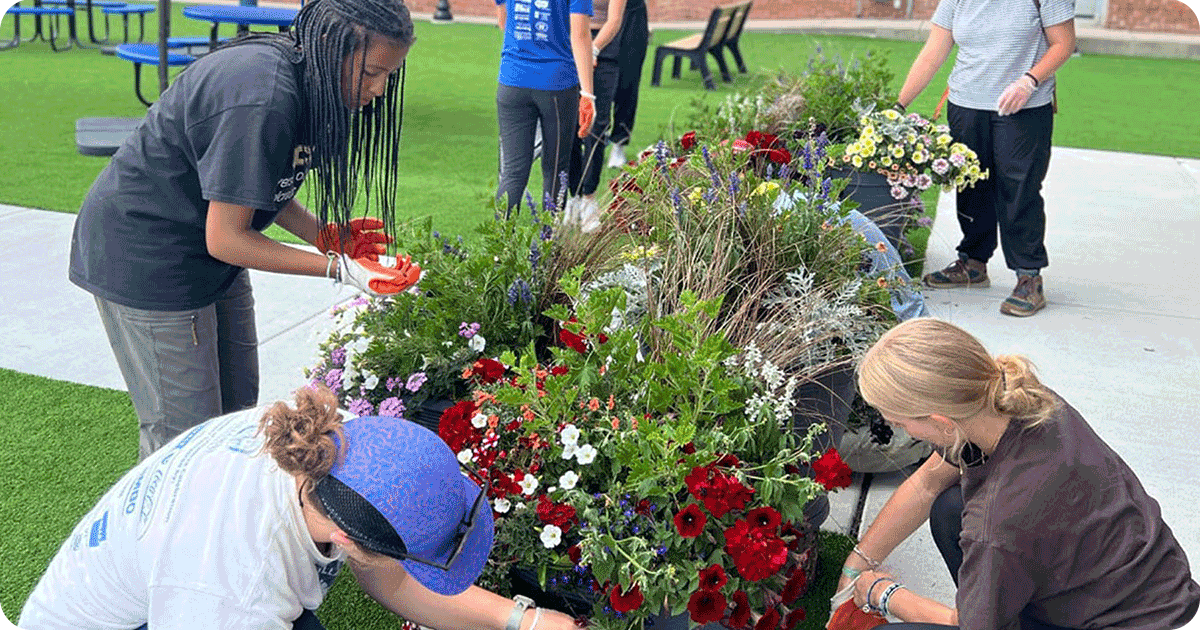 Volunteers planting flowers in large pots.
