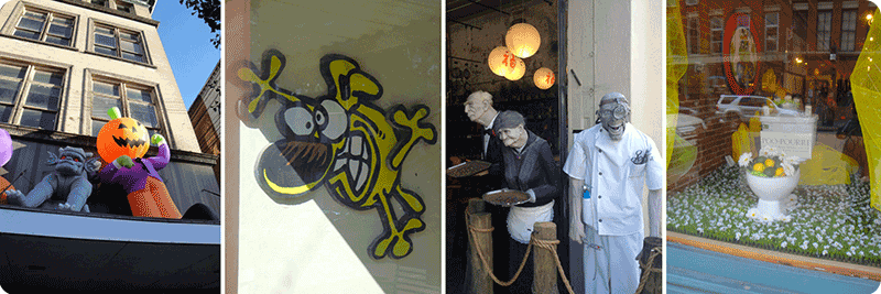 Examples of window displays that are quirky.