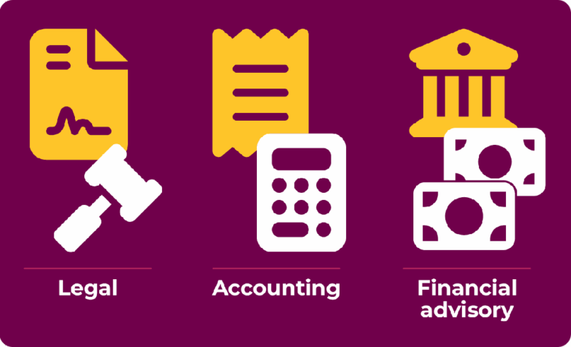 Technical assistance in legal, accounting, and financial advisory.