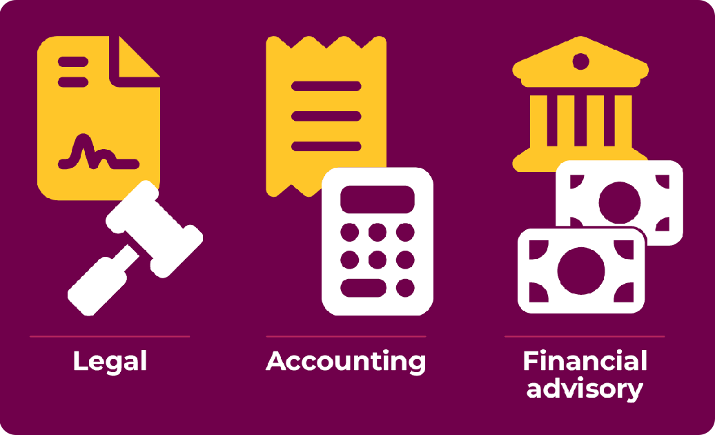 Technical assistance in legal, accounting, and financial advisory.