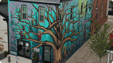 Urban Forest Walkway in De Pere