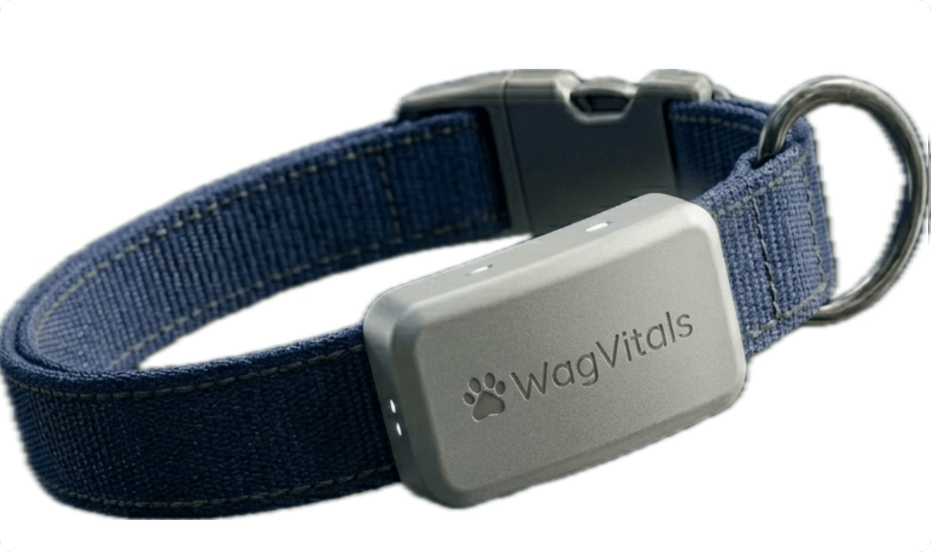 The WagVitals product
